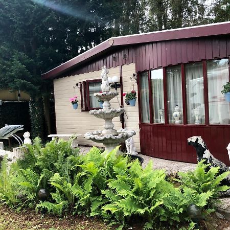 Retro Relax Resort midden in het bos op de Veluwe in Putten Buitenkant foto